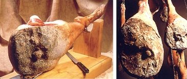 Jambon de Bigorre (Frankreich)