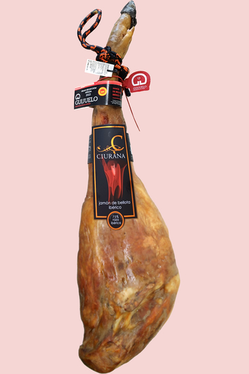 Jamon Guijuelo g.U. Schinken