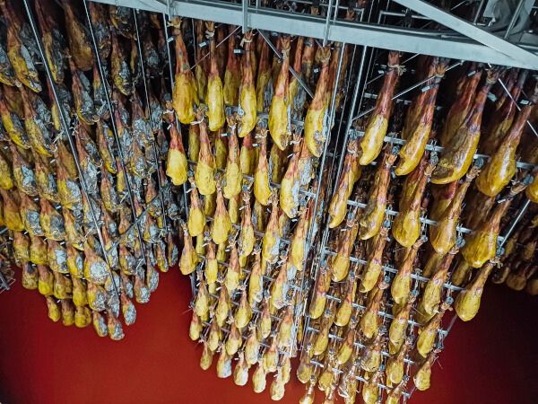 Bio-Schinken reifen im Domecq-Keller