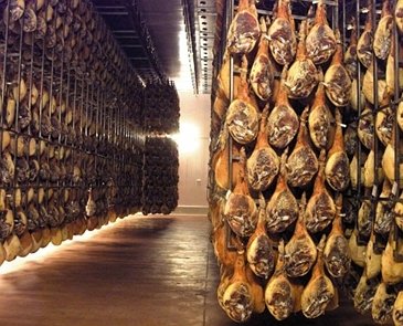 Serrano-Schinken bei der Reifung