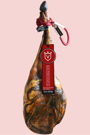 "Paleta" Domecq 100% Iberico Bellota Vorderschinken Pata Negra