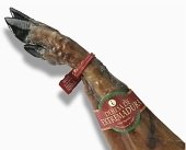 Foto mit Etiketen am Huf