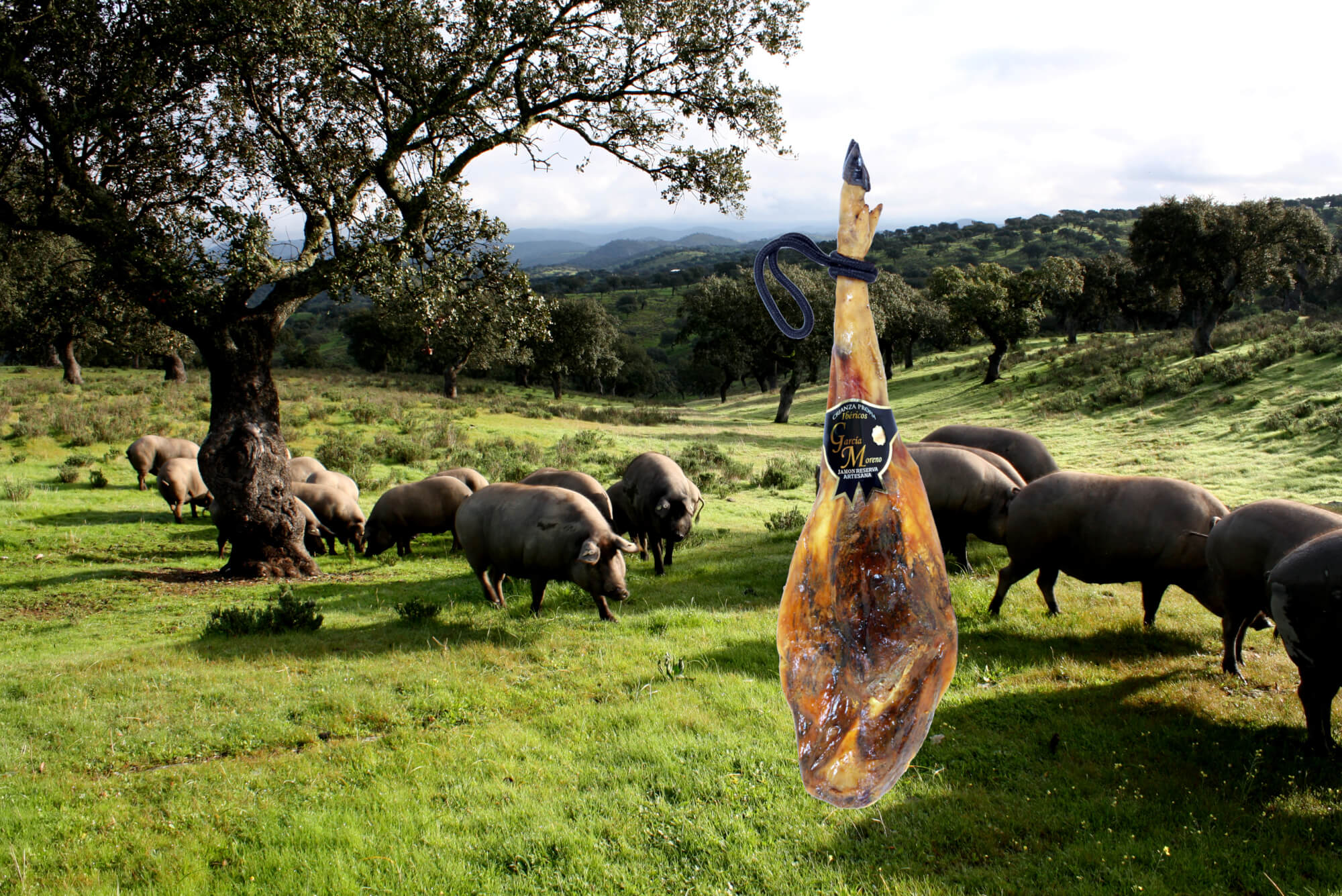 -20% Jamon GM e Hijos Schinken